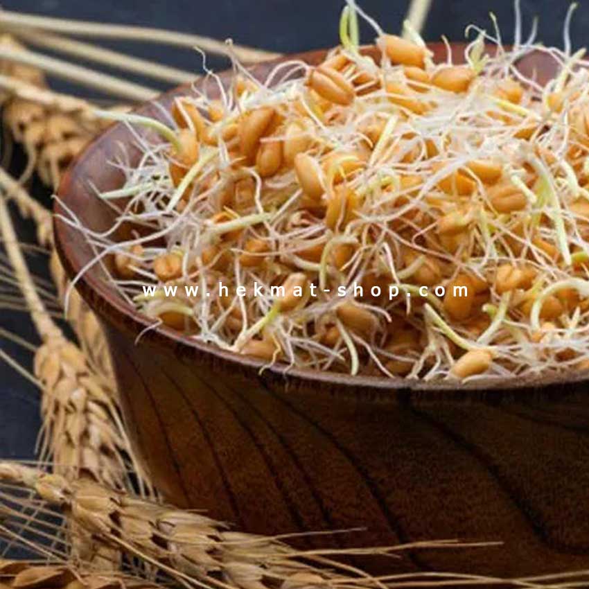 آرد-جوانه-گندم