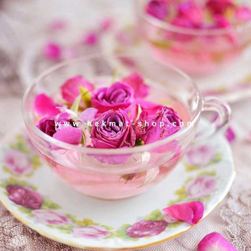 غنچه گل محمدی